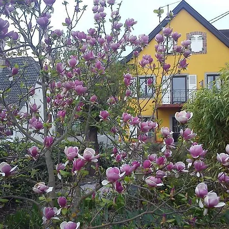 Casa de Férias Lina Et Anae *